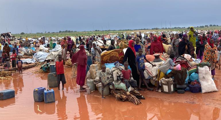 Niger faces severe food and nutrition crisis